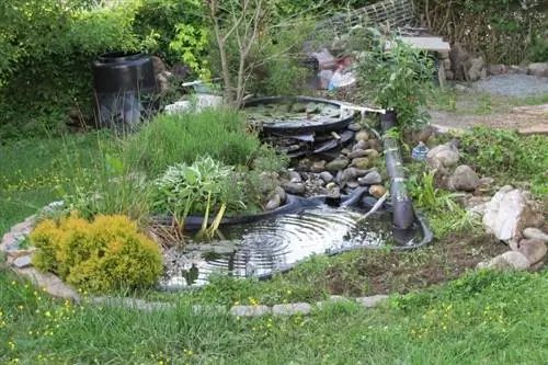 estany de peixos de jardí