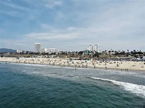 Bãi biển Santa Monica có thân thiện với chó không? Cập nhật 2023