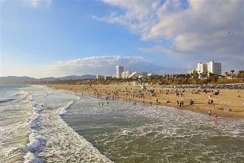 Plage d'état de Santa Monica