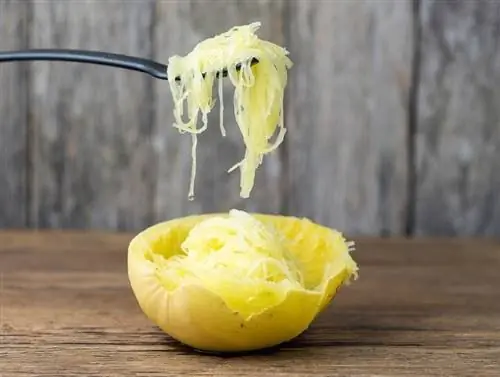 gekookte spaghetti squash_Tommy Atthi_Shutterstock