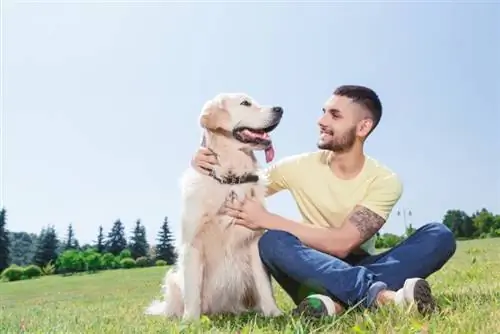 Je, Golden Retrievers Nzuri kwa Wamiliki wa Mara ya Kwanza? Mambo & Vidokezo vya Utunzaji