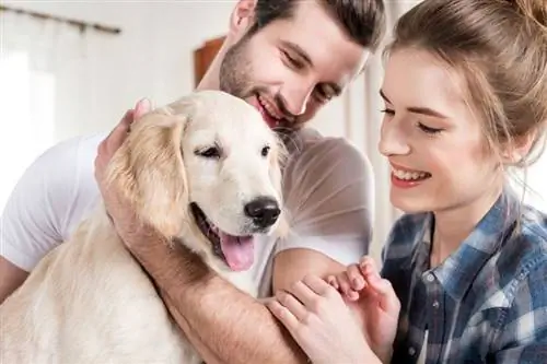 pasangan muda yang bahagia memegang dan memeluk anak anjing golden retriever