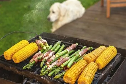 Изысканный шашлык. Овощи на гриле - кукуруза, спаржа с беконом_rasabasa_shutterstock