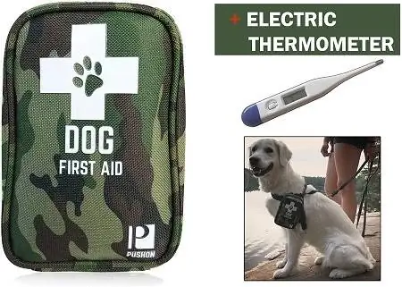 Trousse de premiers soins 8Dog avec thermomètre et couverture d'urgence