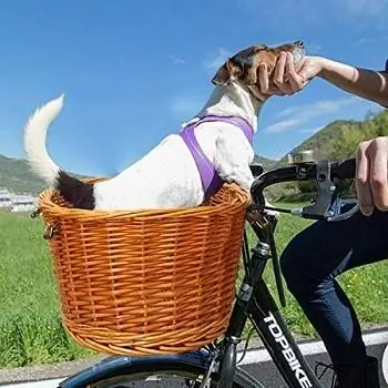 Die 9 besten Fahrradkörbe für Hunde des Jahres 2023 – Rezensionen & Ratgeber