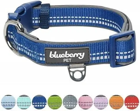 Blueberry Pet