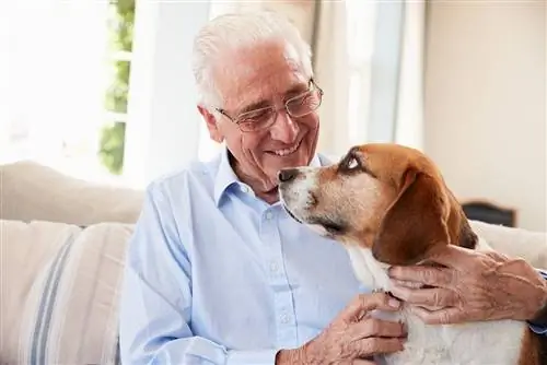 burrë i moshuar i ulur pranë një beagle