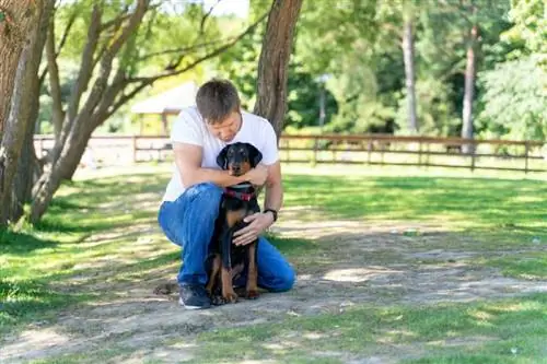 odam o'zining doberman iti bilan ochiq havoda vaqt o'tkazmoqda