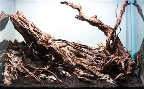 aquarium driftwood