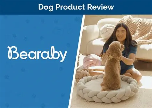 Bearaby Pupper Pod Dog Bed მიმოხილვა 2023: კარგი ღირებულებაა?