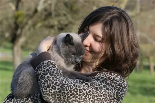 gato e mulher se abraçando