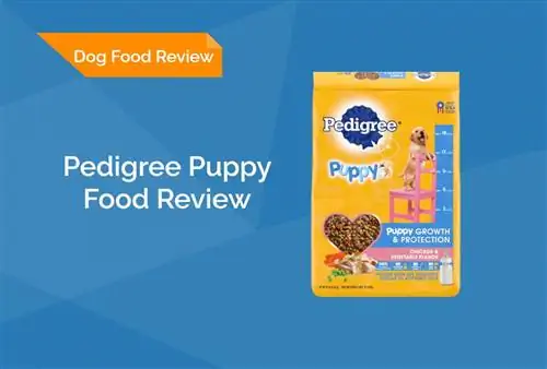 Pedigree Puppy Food Review 2023: opoziva, prednosti & Protiv