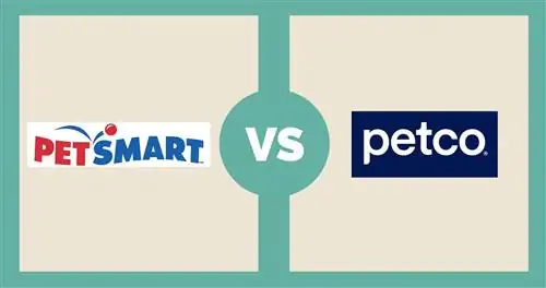 petsmart vs. petco