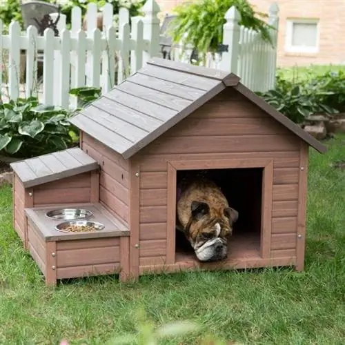 Boomer & George A-Frame