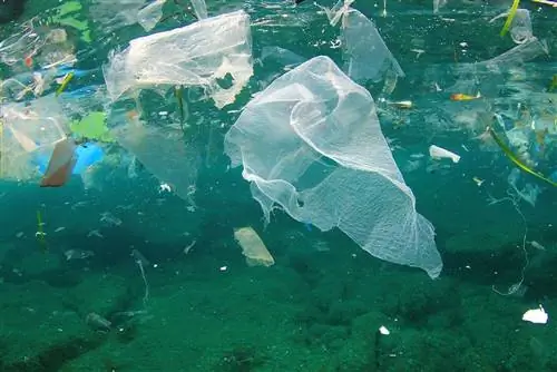 bolsas de plástico en el océano