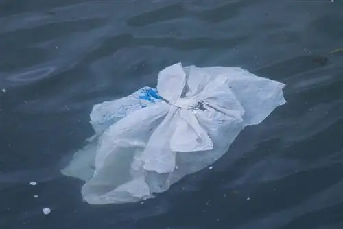 Cik ilgs laiks nepieciešams, lai plastmasa sadalītos okeānā?