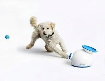 iFetch Interactive Ball Launchers สำหรับสุนัข