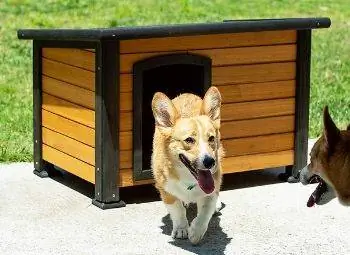 9 mejores casas para perros al aire libre en 2023 – Reseñas & Mejores selecciones