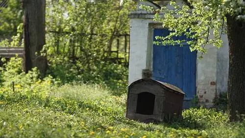 Gambrel doghouse