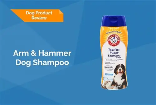 Ram & Hammer Dog Shampoo Review 2023 – Klady, zápory & Konečný verdikt