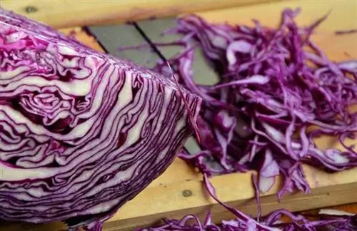 tinadtad na Red Cabbage sa isang chopping board