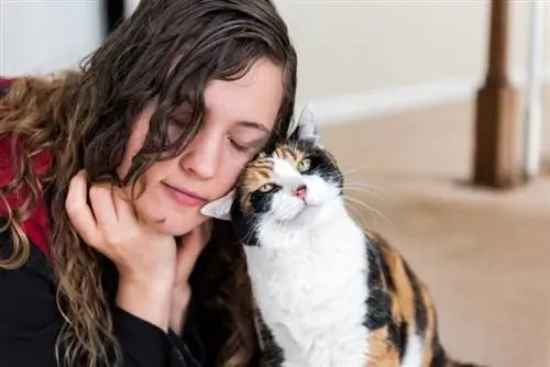 donna che lega con il gatto calico