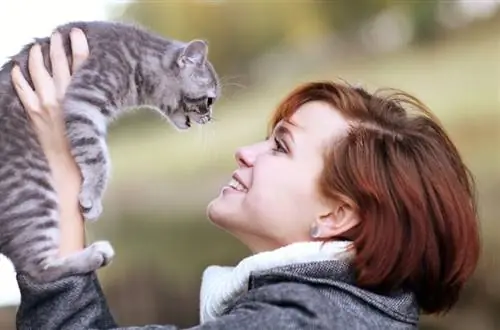 10 erreurs courantes des propriétaires de chats pour la première fois & Comment les éviter