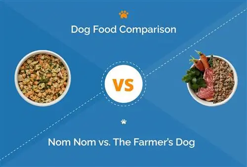 Nom Nom vs Anjing Petani: Makanan Anjing Segar Mana yang Lebih Baik di Tahun 2023?