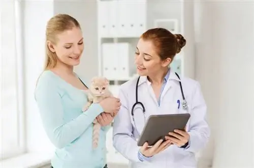 mujer feliz y médico veterinario con computadora de tablet pc comprobando gatito escocés