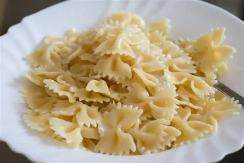 Pasta de cinta cocida en un plato blanco