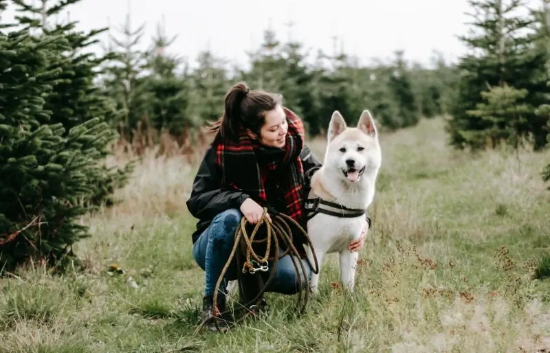 vrouw die haar amerikaanse akita-hond buitenshuis knuffelt