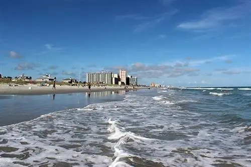 Je, Mbwa wa Myrtle Beach ni Rafiki? Kila Kitu Unachohitaji Kujua