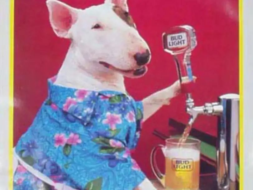 Spuds MacKenzie serverar Bud Light Beer Bud Light, Anheuser-Busch Companies, LLC.