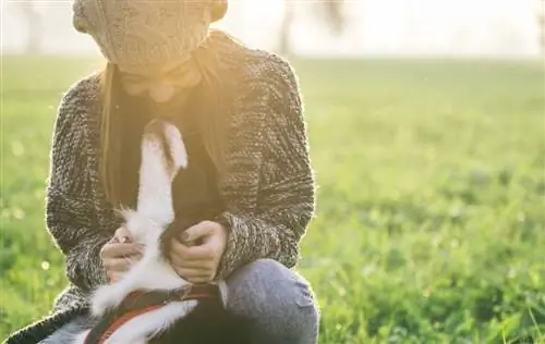 65 citations de maman de chien relatable & énonciations