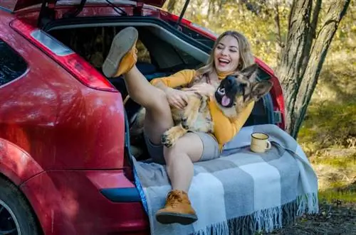 giovane proprietario che ride con il suo cane sul retro dell'auto