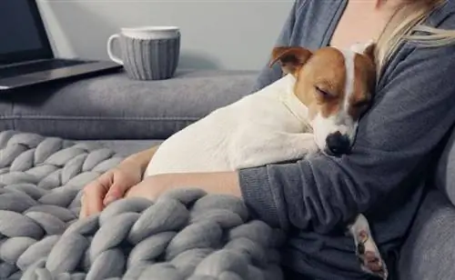 mulher abraça cachorro