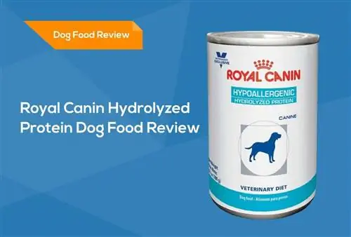 Royal Canin hidrolizuoto b altyminio šunų ėdalo apžvalga 2023 m.: atsišaukimai, privalumai & trūkumai