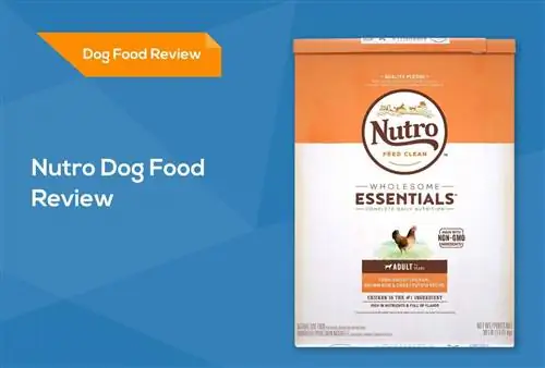 Nutro Dog Food Review 2023: Mga Recall, Pros, at Cons