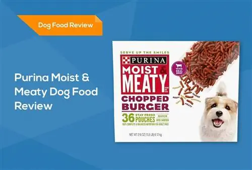 Purina Moist & Meaty Dog Food Review 2023: herinneringen, voor- en nadelen