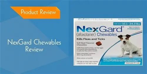 NexGard Chewables for Dogs Review 2023: voors, tegens & Oordeel