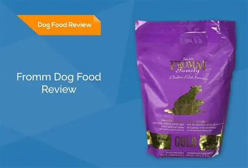 Fromm Dog Food Review 2023: Povlačenja, prednosti & Protiv