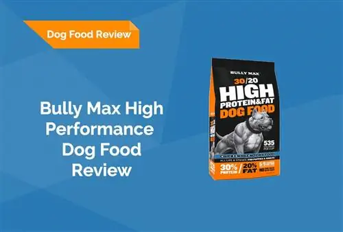 Bully Max High Performance Dog Food Review 2023: Tilbakekallinger, fordeler & Ulemper