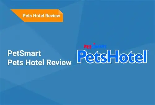 PetSmart Pets სასტუმროს მიმოხილვა 2023: FAQ, დადებითი & უარყოფითი მხარეები