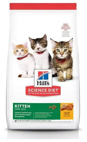 Рецепт куриного котенка Hill’s Science Diet