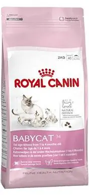 Royal Canin ана мен нәресте мысықтарына арналған құрғақ мысық тамағы