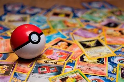 100+ emra qensh të frymëzuar nga Pokemon: Ide për & qen të animuar mistikë