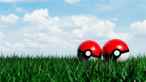 boules de pokemon à l'extérieur dans l'herbe