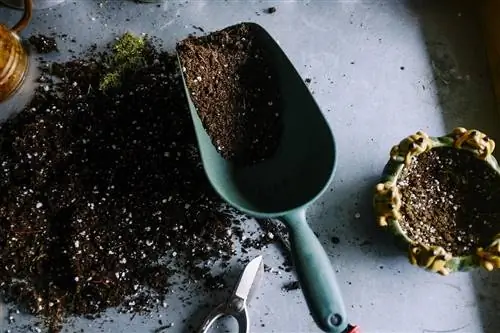 Kompos van kattebak - Hoe lank sal dit neem? Is dit moontlik?