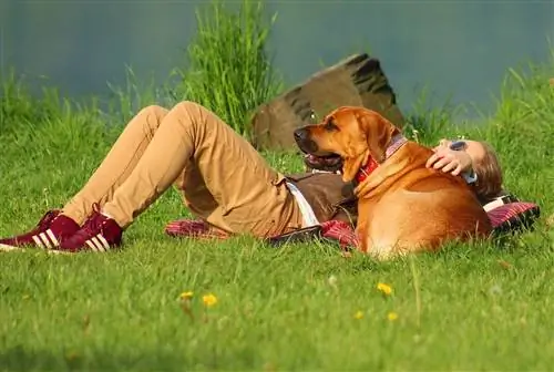 cachorro e dono na grama