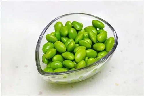 Edamame در یک کاسه شیشه ای